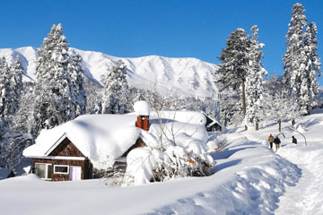 Srinagar Pahalgam Sonmarg Gulmarg 5 days tour