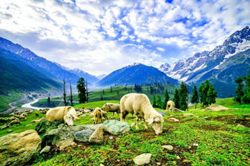 Srinagar Sonmarg Pahalgam Gulmarg 6 days tour